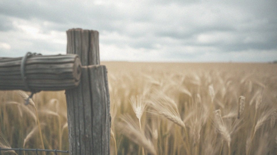 Ból w prawym biodrze i pośladku – przyczyny, objawy i leczenie