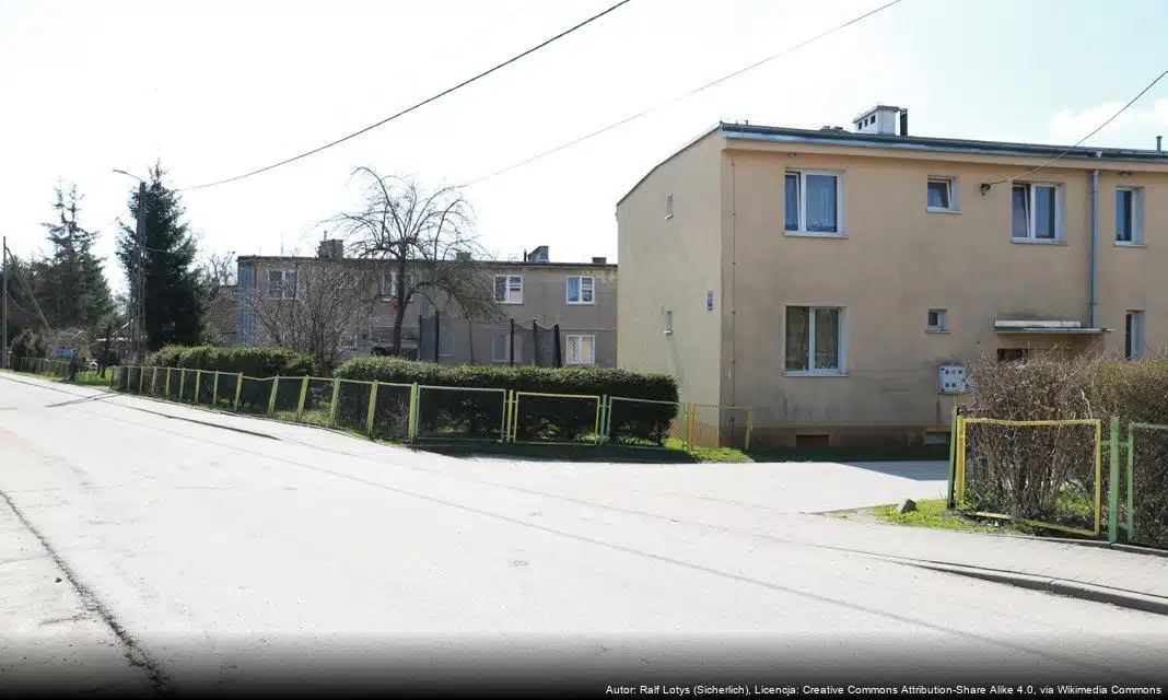 Zebranie sprawozdawczo-wyborcze OSP Chociemyśl