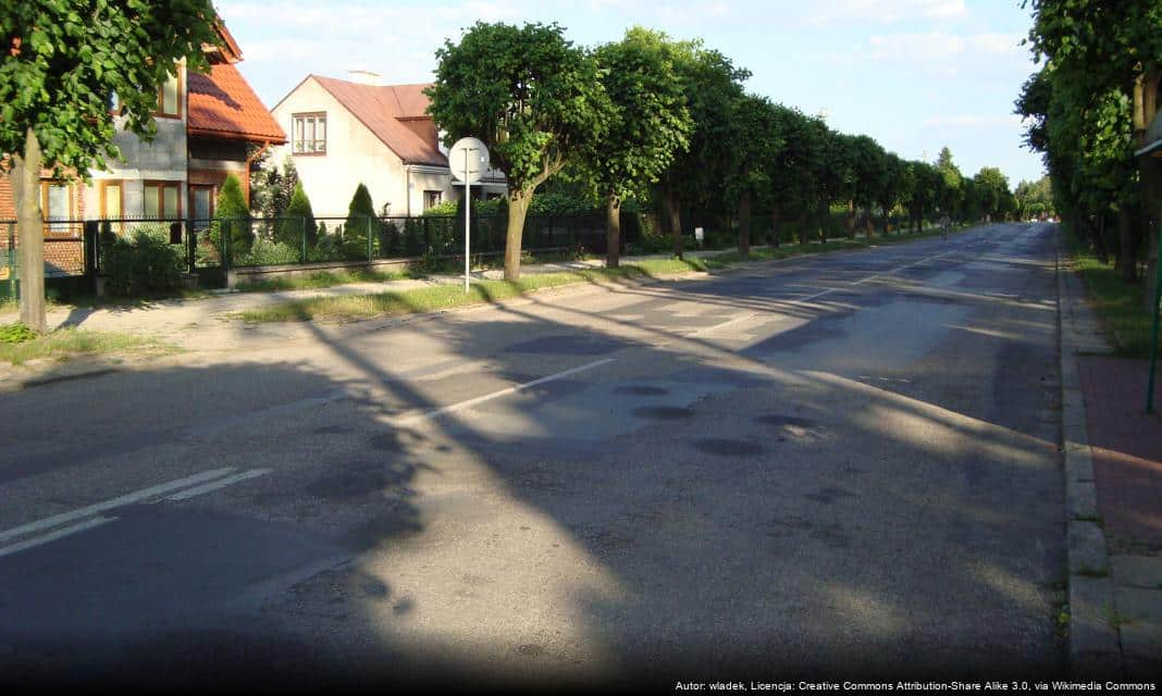 Nowe przepisy dotyczące afrykańskiego pomoru świń w powiecie głogowskim