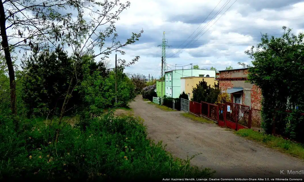 Trening Uruchamiania Syren Alarmowych w Gminie Kotla