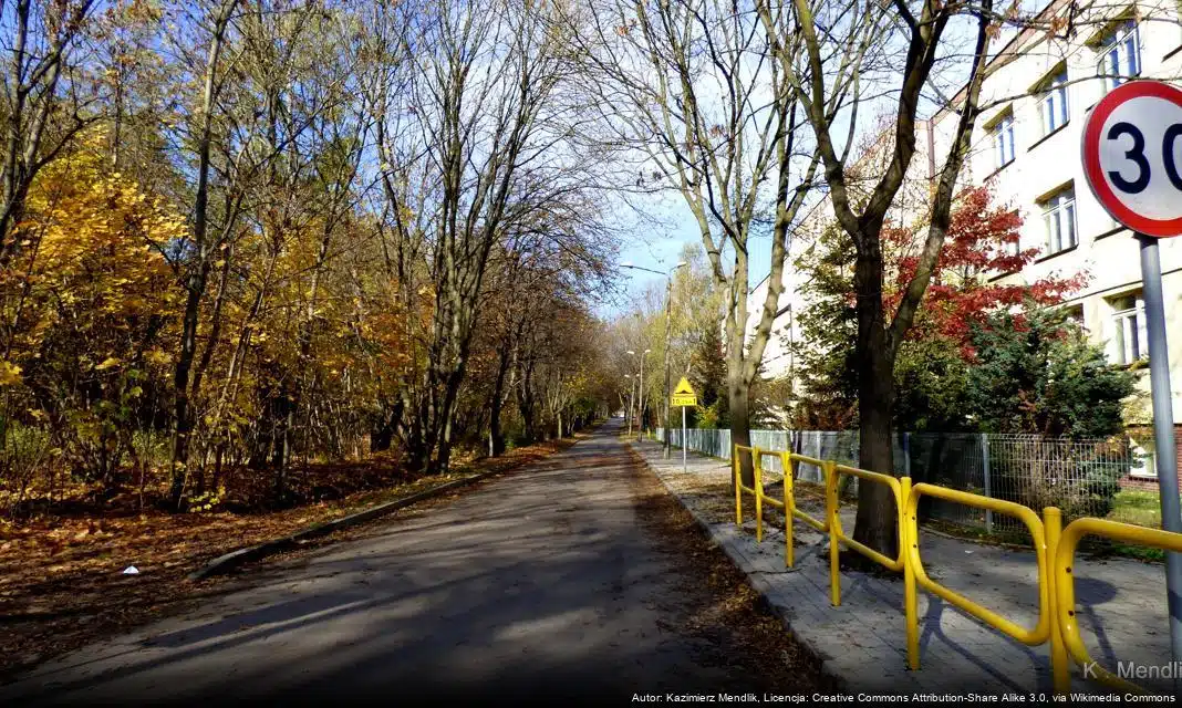 Uroczystość Wigilijna w Klubie Seniora w Kotla